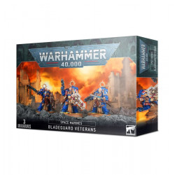 Space Marines Bladeguard...