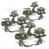 Mailorder: Age of Sigmar Wyldwood von Ghyran