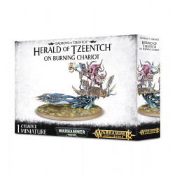 Mailorder: Disciples of Tzeentch Fateskimmer, Herald of...