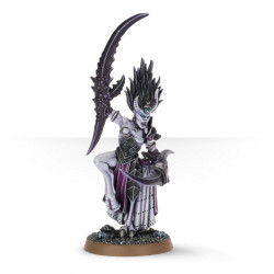 Mailorder: Hedonites of Slaanesh Tranceweaver/Viceleader,...