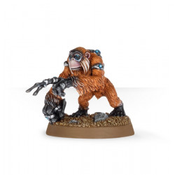 Mailorder: Inquisition -...