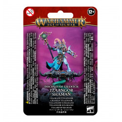 Disciples of Tzeentch...