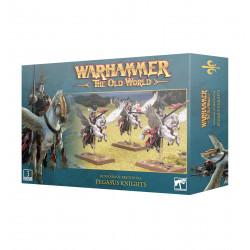 Warhammer The Old World Kingdom of Bretonnia Pegasus Knights