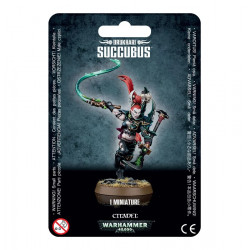 Mailorder: Drukhari Succubus