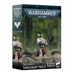 Warhammer 40k Blood Angels Sanguinary Priest