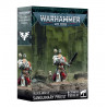 Warhammer 40k Blood Angels Sanguinary Priest