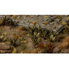Laser Plants Agave