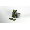 Laser Plants Elephant Ear