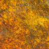 Dirty Down Yellow Rust Effect (25ml)